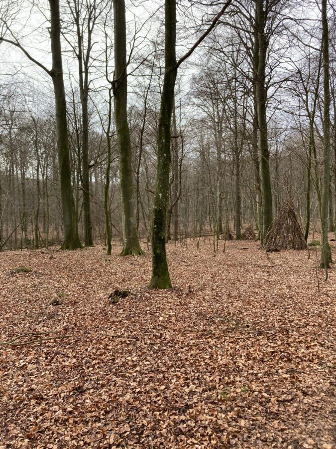 Windalens Pa Oesterlen Tomelilla Buitenkant foto