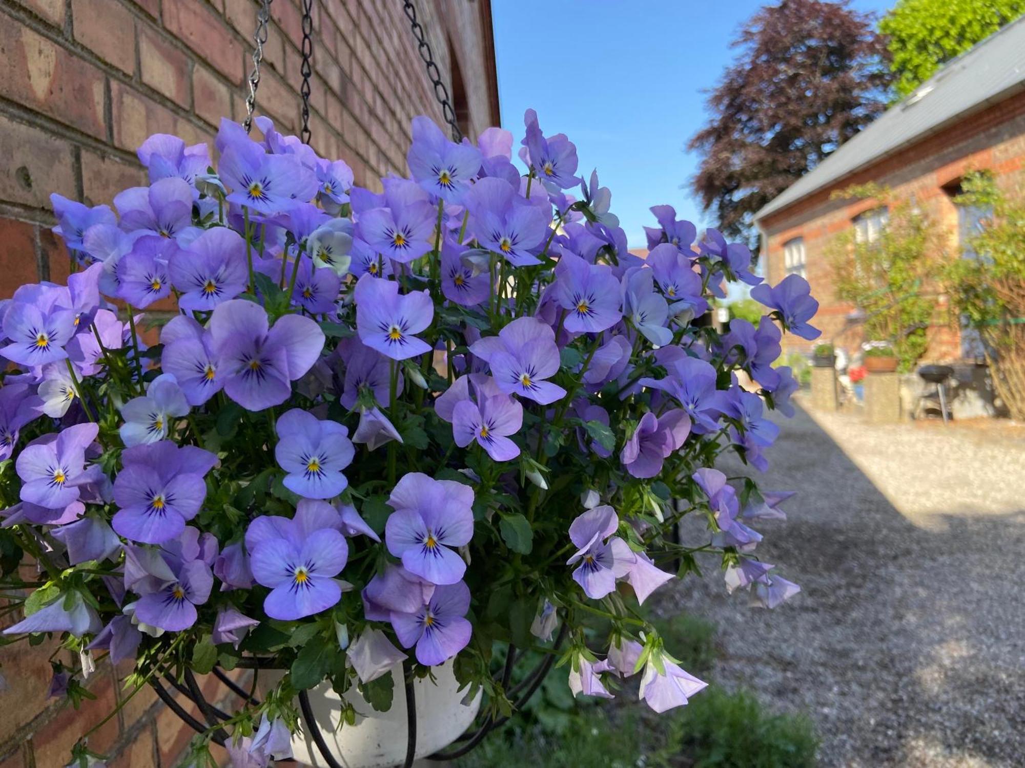 Windalens Pa Oesterlen Tomelilla Buitenkant foto